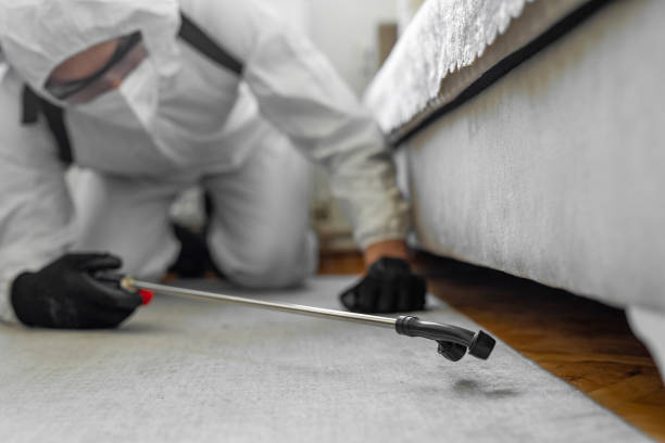 Professional Bed Bug Control technician working in Muhlenberg County County, KY